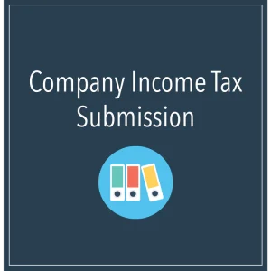 Company Income Tax Return