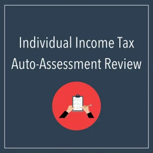 INDIVIDUAL INCOME TAX AUTO-ASSESSMENT REVIEW