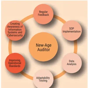 Innovation in Auditing Standards Post-Pandemic