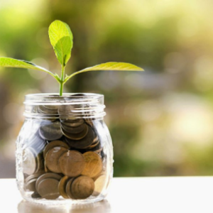 Green Taxation Incentives in African Markets