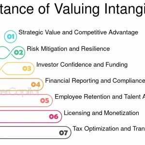 Valuation of Startups & Intangibles - with Audit & Tax Interfaces