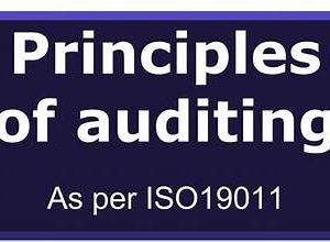 Principles of Auditing ( Introduction, Regulations, Assurance Engagement, Internal Controls and the Auditing Profession)