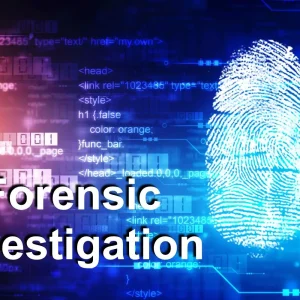 Forensic Investigation of Public Sector Corruption in Africa